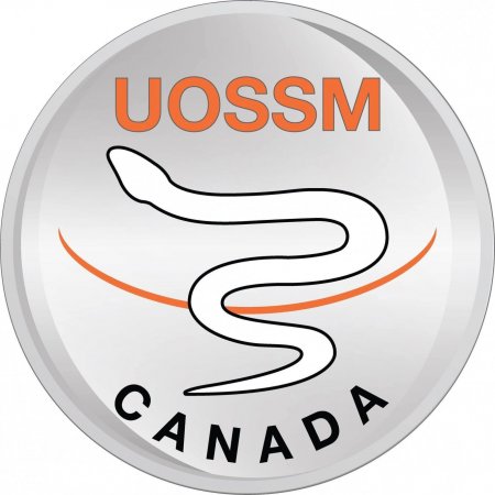 فرص عمل مميزة مع UOSSM Canada مكتب غزة